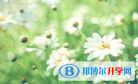 四川2021年如何查询中考录取结果