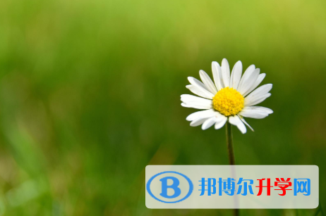 四川2021年怎样从网上查询中考成绩