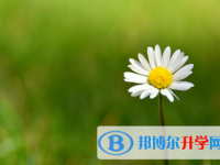 四川2021年怎样从网上查询中考成绩