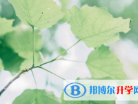 四川2021年中考查询成绩