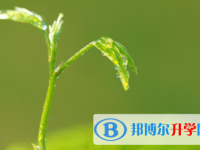四川2021年中考查询成绩网址