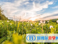 四川2021年中考成绩查询入口
