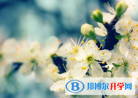 四川2021年中考成绩查询系