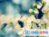 四川2021年中考成绩查询系