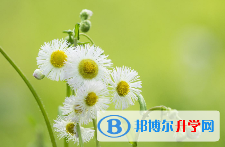 四川2021年中考成绩差怎么办
