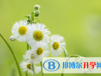四川2021年中考成绩差怎么办