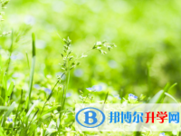 四川2021年中考成绩公布时间