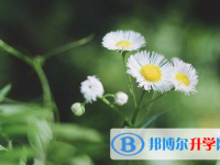 四川2021年中考成绩没考好怎么给家长说
