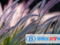 四川2021年中考成绩有没D