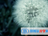 四川2021年中考成绩怎么算
