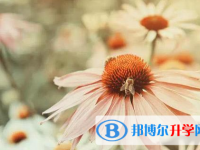 四川2021年中考成绩查询网址