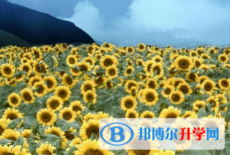 四川2021年中考多久出成绩