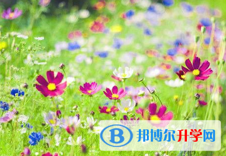 四川2021年中考后几天出成绩