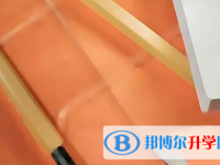 四川2021年近年中考重点线