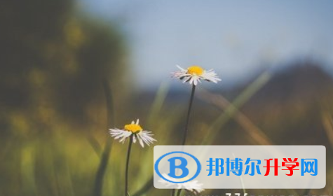 四川2021年中考报考攻略