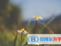 四川2021年中考报考攻略