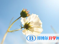四川2021年中考报考人数