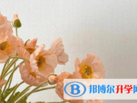 四川2021年中考报名号