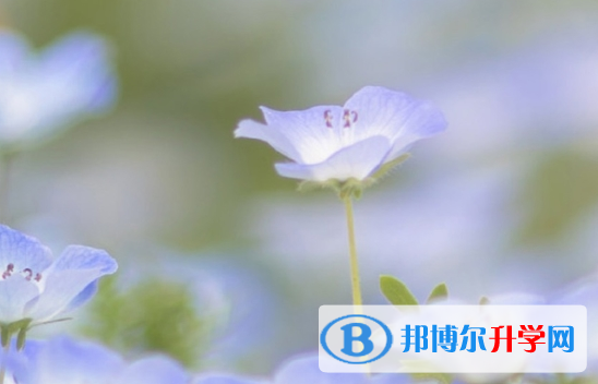 四川2021年中考报名平台