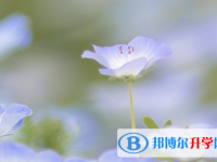四川2021年中考报名平台