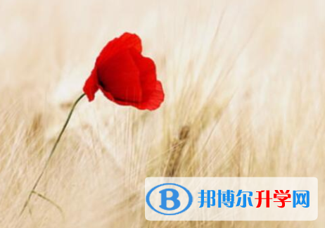 四川2021年中考报名需要带什么