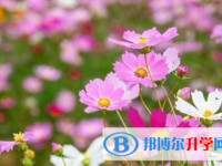 四川2021年中考必考题