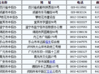 四川2021年中考查询电话
