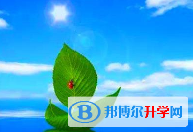 四川2021年中考成绩好久出来