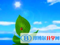 四川2021年中考成绩好久出来