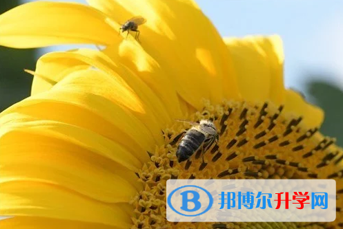 四川2021年中考成绩何时出来