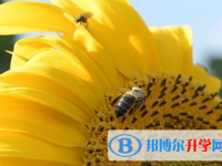 四川2021年中考成绩何时出来