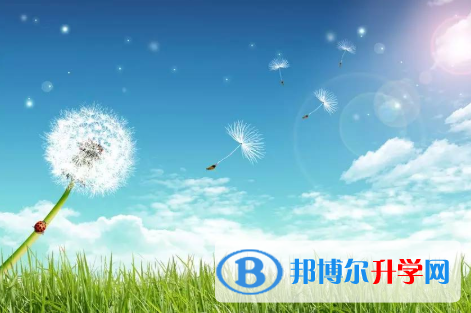 四川2021年中考服务平台