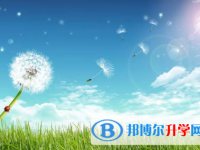 四川2021年中考服务平台