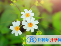 四川2021年中考服务应用平台