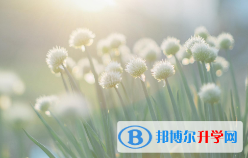 四川2021年中考改革