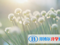 四川2021年中考改革