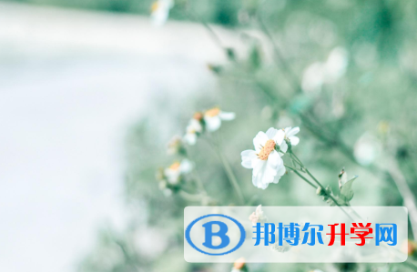 四川2021年中考公布时间