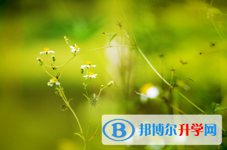 四川2021年中考规则
