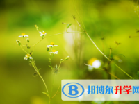 四川2021年中考规则