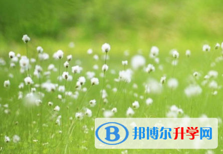 四川2021年中考后多久可以查询