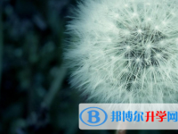 四川2021年中考回老家读行吗