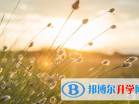 四川2021年中考建档线