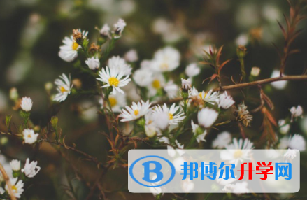 四川2021年中考考点