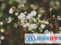 四川2021年中考考点