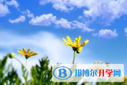 四川2021年中考考点有哪几个