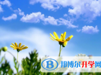 四川2021年中考考点有哪几个