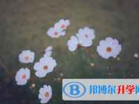四川2021年中考考生人数