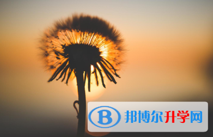 四川2021年中考考试成绩