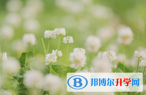 四川2021年中考考试技巧