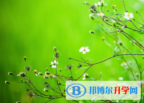四川2021年中考课外阅读